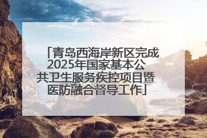 青岛西海岸新区完成2025年国家基本公共卫生服务疾控项目暨医防融合督导工作