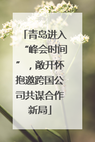 青岛进入“峰会时间”，敞开怀抱邀跨国公司共谋合作新局