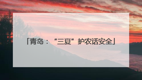 青岛：“三夏”护农话安全