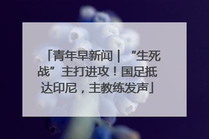青年早新闻｜“生死战”主打进攻！国足抵达印尼，主教练发声