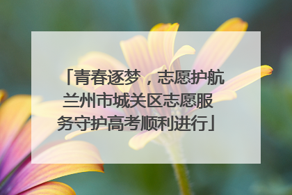 青春逐梦，志愿护航 兰州市城关区志愿服务守护高考顺利进行