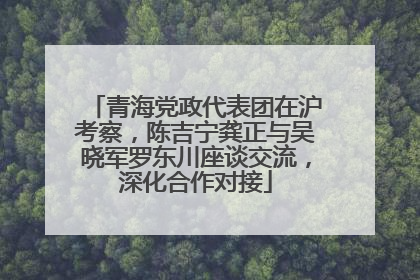 青海党政代表团在沪考察，陈吉宁龚正与吴晓军罗东川座谈交流，深化合作对接
