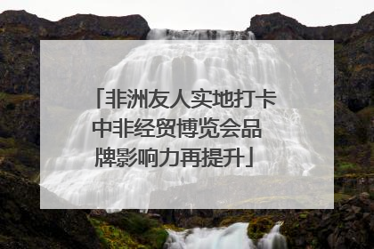 非洲友人实地打卡 中非经贸博览会品牌影响力再提升