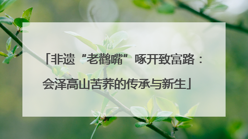 非遗“老鹳嘴”啄开致富路：会泽高山苦荞的传承与新生
