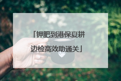 钾肥到港保夏耕 边检高效助通关