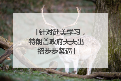 针对赴美学习，特朗普政府天天出招步步紧逼
