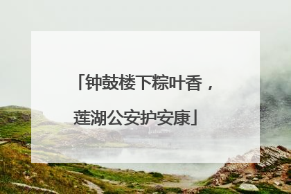 钟鼓楼下粽叶香，莲湖公安护安康