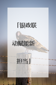 银政联动赋能新担当