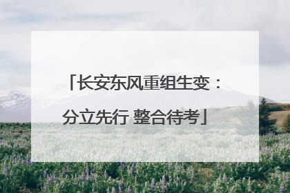长安东风重组生变：分立先行 整合待考