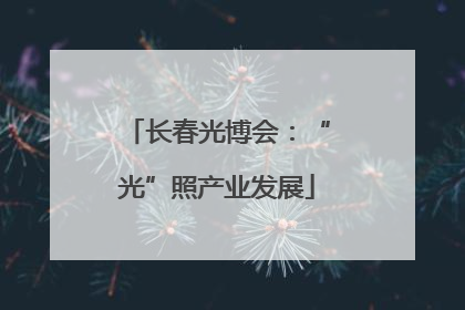 长春光博会：“光”照产业发展