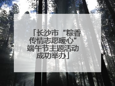 长沙市“粽香传情志愿暖心”端午节主题活动成功举办