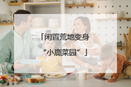 闲置荒地变身“小鹿菜园”