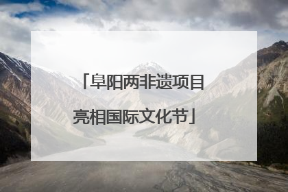 阜阳两非遗项目亮相国际文化节