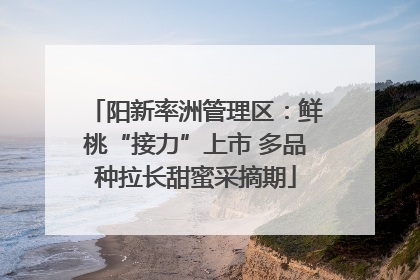 阳新率洲管理区：鲜桃“接力”上市 多品种拉长甜蜜采摘期