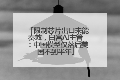 限制芯片出口未能奏效，白宫AI主管：中国模型仅落后美国不到半年