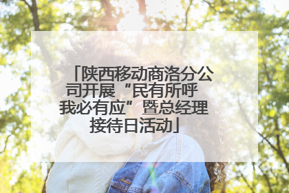 陕西移动商洛分公司开展“民有所呼 我必有应”暨总经理接待日活动