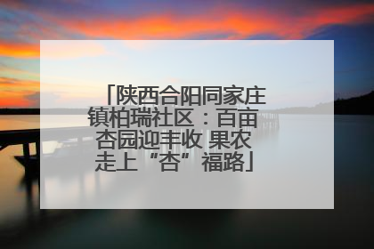 陕西合阳同家庄镇柏瑞社区：百亩杏园迎丰收 果农走上“杏”福路