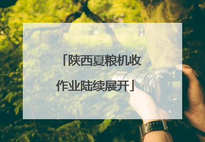 陕西夏粮机收作业陆续展开