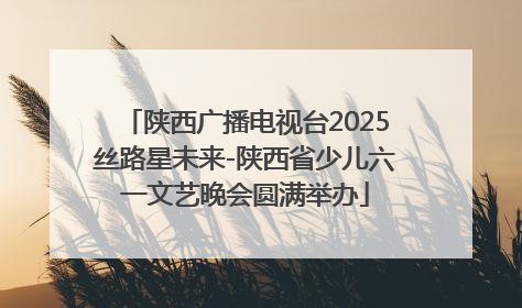 陕西广播电视台2025丝路星未来-陕西省少儿六一文艺晚会圆满举办