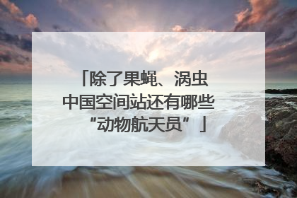 除了果蝇、涡虫 中国空间站还有哪些“动物航天员”