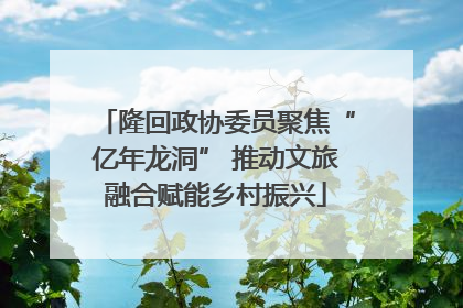 隆回政协委员聚焦“亿年龙洞” 推动文旅融合赋能乡村振兴