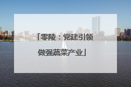零陵：党建引领 做强蔬菜产业