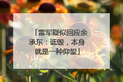 雷军疑似回应余承东：诋毁，本身就是一种仰望