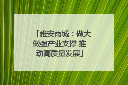雅安雨城：做大做强产业支撑 推动高质量发展