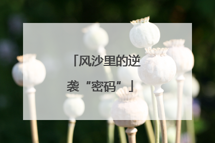风沙里的逆袭“密码”