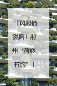 风起倩影摇！荆州“荷您有约”