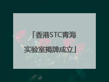 香港STC青海实验室揭牌成立