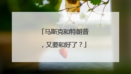 马斯克和特朗普，又要和好了？