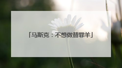 马斯克：不想做替罪羊