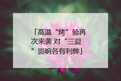 高温“烤”验再次来袭 对“三夏”影响各有利弊