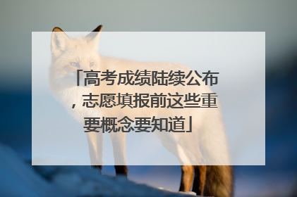 高考成绩陆续公布，志愿填报前这些重要概念要知道
