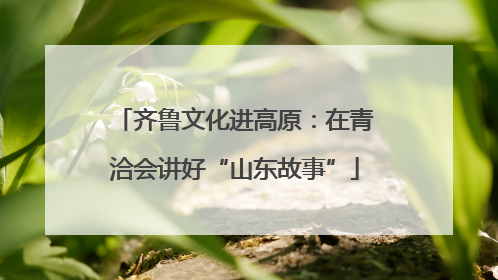 齐鲁文化进高原：在青洽会讲好“山东故事”