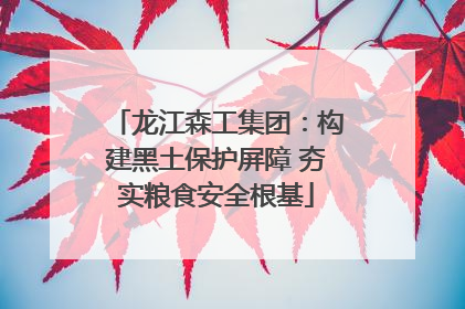 龙江森工集团：构建黑土保护屏障 夯实粮食安全根基