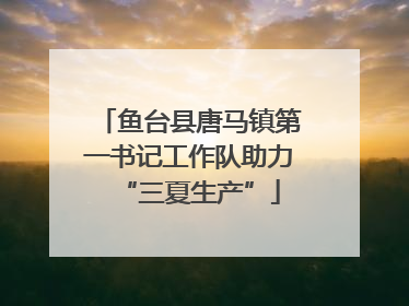 鱼台县唐马镇第一书记工作队助力“三夏生产”