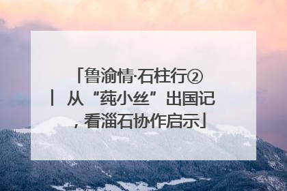 鲁渝情·石柱行② ︳从“莼小丝”出国记，看淄石协作启示