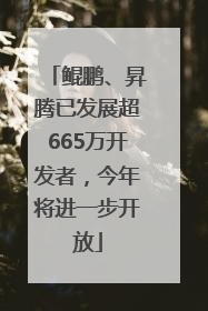 鲲鹏、昇腾已发展超665万开发者，今年将进一步开放