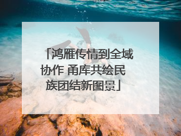 鸿雁传情到全域协作 甬库共绘民族团结新图景