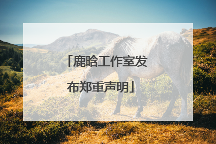 鹿晗工作室发布郑重声明