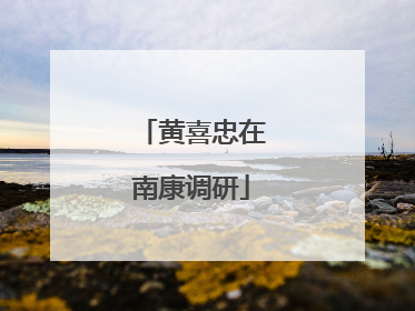 黄喜忠在南康调研