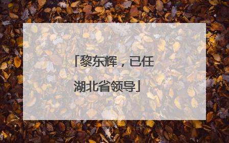 黎东辉，已任湖北省领导