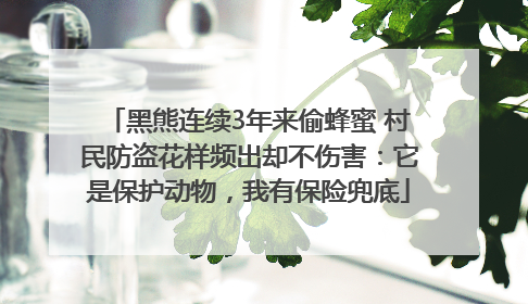 黑熊连续3年来偷蜂蜜 村民防盗花样频出却不伤害：它是保护动物，我有保险兜底