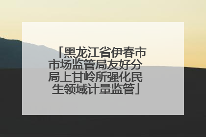 黑龙江省伊春市市场监管局友好分局上甘岭所强化民生领域计量监管