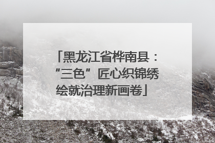 黑龙江省桦南县：“三色”匠心织锦绣 绘就治理新画卷