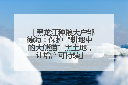 黑龙江种粮大户邹德海：保护“耕地中的大熊猫”黑土地，让增产可持续