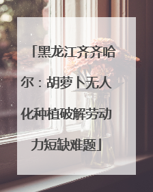 黑龙江齐齐哈尔：胡萝卜无人化种植破解劳动力短缺难题
