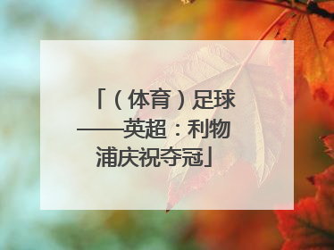 （体育）足球——英超：利物浦庆祝夺冠